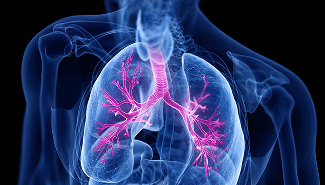 Pulmonary Asthma Chronic obstructive pulmonary disease COPD Pulmonary fibrosis
